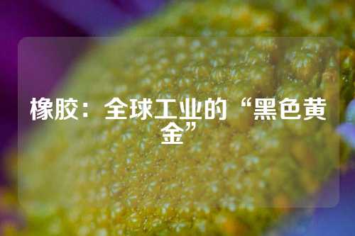 橡胶：全球工业的“黑色黄金”