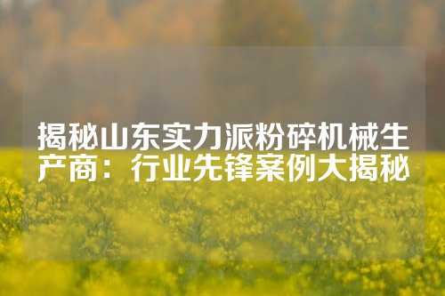揭秘山东实力派粉碎机械生产商：行业先锋案例大揭秘