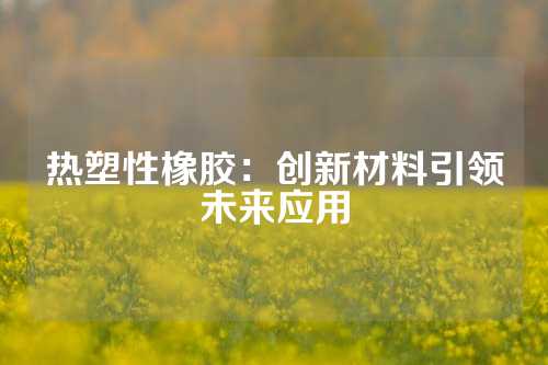 热塑性橡胶：创新材料引领未来应用