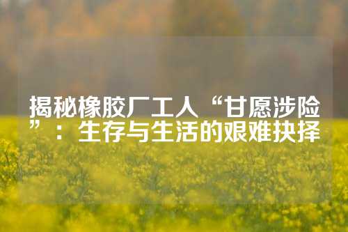 揭秘橡胶厂工人“甘愿涉险”：生存与生活的艰难抉择