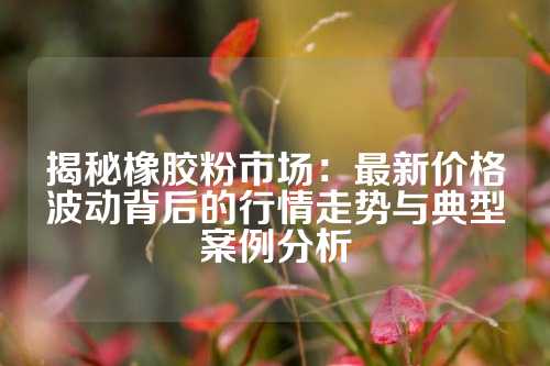 揭秘橡胶粉市场：最新价格波动背后的行情走势与典型案例分析