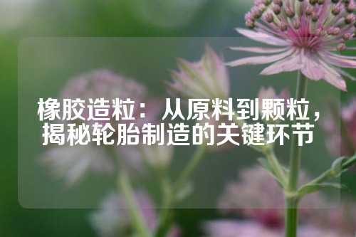 橡胶造粒：从原料到颗粒，揭秘轮胎制造的关键环节