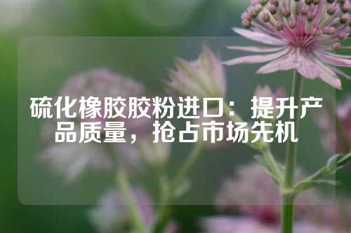 硫化橡胶胶粉进口：提升产品质量，抢占市场先机