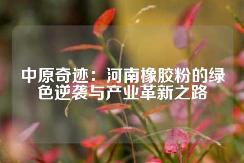 中原奇迹：河南橡胶粉的绿色逆袭与产业革新之路