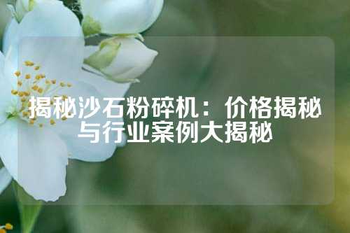 揭秘沙石粉碎机：价格揭秘与行业案例大揭秘