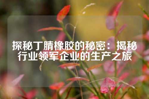 探秘丁腈橡胶的秘密：揭秘行业领军企业的生产之旅