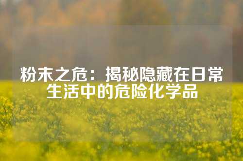 粉末之危：揭秘隐藏在日常生活中的危险化学品