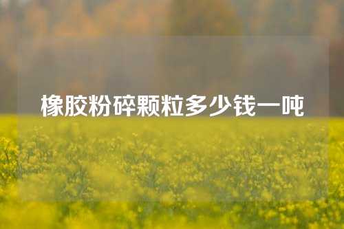 橡胶粉碎颗粒多少钱一吨
