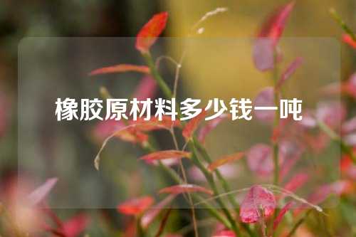 橡胶原材料多少钱一吨