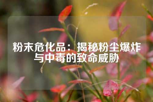 粉末危化品：揭秘粉尘爆炸与中毒的致命威胁