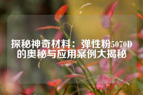 探秘神奇材料：弹性粉5070D的奥秘与应用案例大揭秘