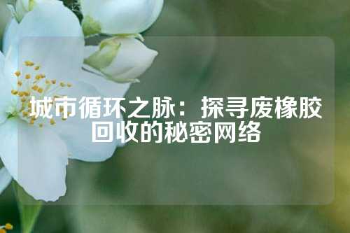 城市循环之脉：探寻废橡胶回收的秘密网络