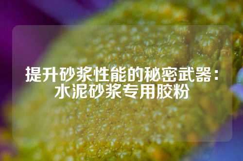 提升砂浆性能的秘密武器：水泥砂浆专用胶粉
