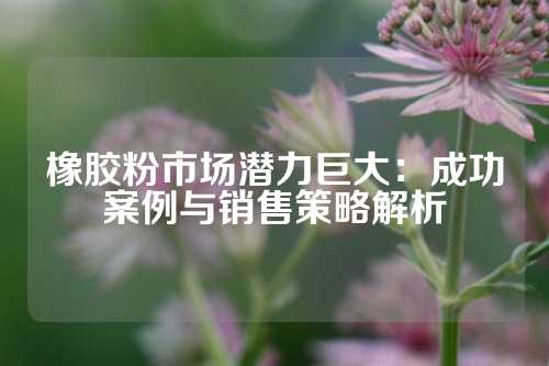 橡胶粉市场潜力巨大：成功案例与销售策略解析