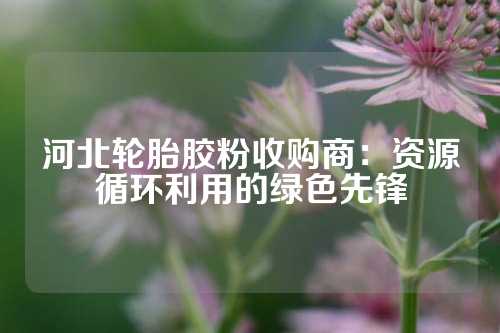 河北轮胎胶粉收购商：资源循环利用的绿色先锋