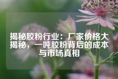 揭秘胶粉行业：厂家价格大揭秘，一吨胶粉背后的成本与市场真相