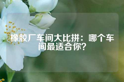 橡胶厂车间大比拼：哪个车间最适合你？