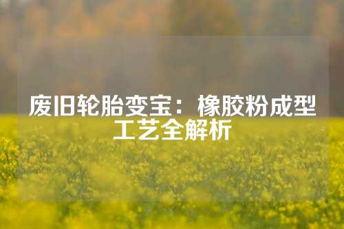 废旧轮胎变宝：橡胶粉成型工艺全解析