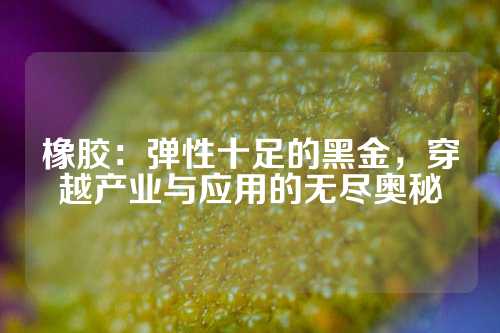 橡胶：弹性十足的黑金，穿越产业与应用的无尽奥秘