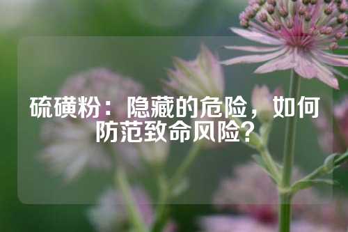 硫磺粉：隐藏的危险，如何防范致命风险？