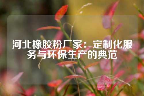 河北橡胶粉厂家：定制化服务与环保生产的典范