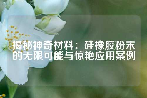 揭秘神奇材料：硅橡胶粉末的无限可能与惊艳应用案例