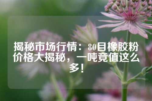 揭秘市场行情：80目橡胶粉价格大揭秘，一吨竟值这么多！