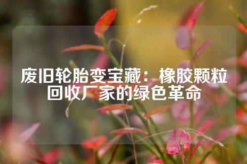 废旧轮胎变宝藏：橡胶颗粒回收厂家的绿色革命