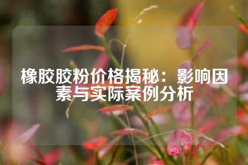 橡胶胶粉价格揭秘：影响因素与实际案例分析