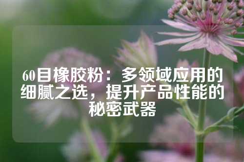 60目橡胶粉：多领域应用的细腻之选，提升产品性能的秘密武器