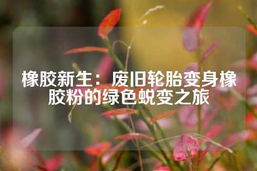 橡胶新生：废旧轮胎变身橡胶粉的绿色蜕变之旅
