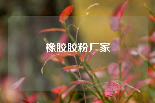 橡胶胶粉厂家