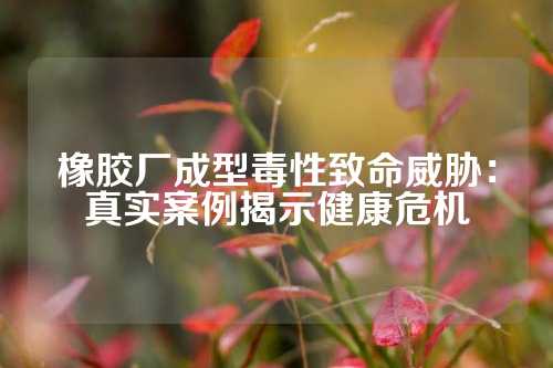 橡胶厂成型毒性致命威胁：真实案例揭示健康危机