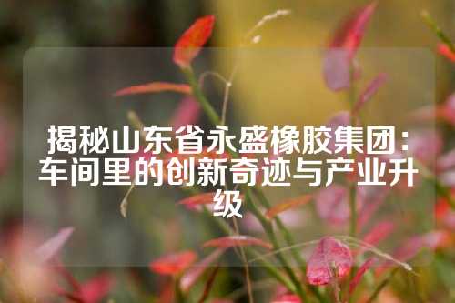 揭秘山东省永盛橡胶集团：车间里的创新奇迹与产业升级