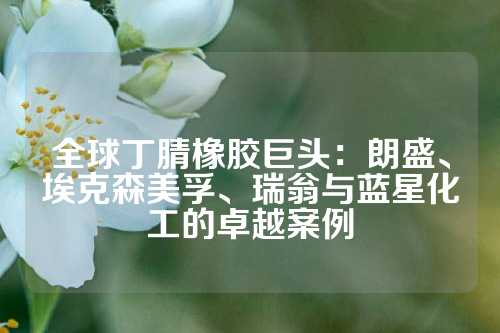 全球丁腈橡胶巨头：朗盛、埃克森美孚、瑞翁与蓝星化工的卓越案例
