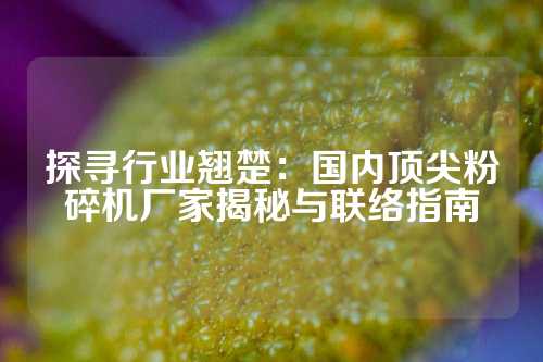 探寻行业翘楚：国内顶尖粉碎机厂家揭秘与联络指南