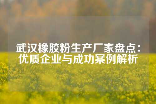武汉橡胶粉生产厂家盘点：优质企业与成功案例解析