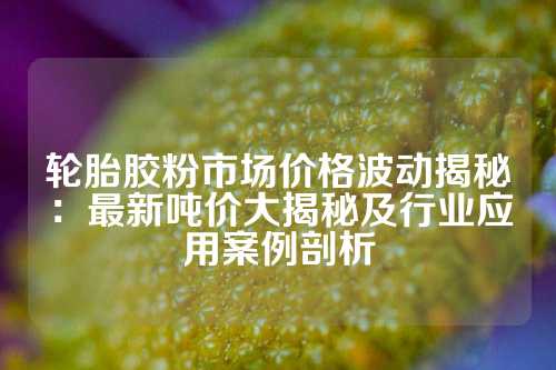 轮胎胶粉市场价格波动揭秘：最新吨价大揭秘及行业应用案例剖析