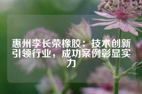 惠州李长荣橡胶：技术创新引领行业，成功案例彰显实力