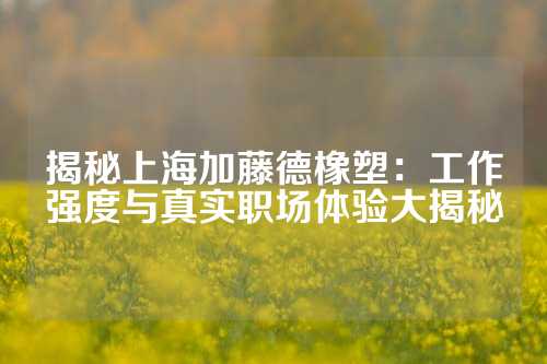 揭秘上海加藤德橡塑：工作强度与真实职场体验大揭秘