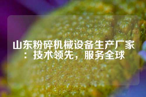 山东粉碎机械设备生产厂家：技术领先，服务全球