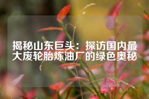 揭秘山东巨头：探访国内最大废轮胎炼油厂的绿色奥秘