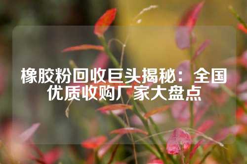 橡胶粉回收巨头揭秘：全国优质收购厂家大盘点