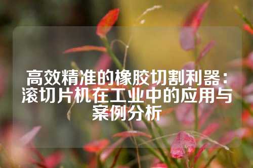 高效精准的橡胶切割利器：滚切片机在工业中的应用与案例分析