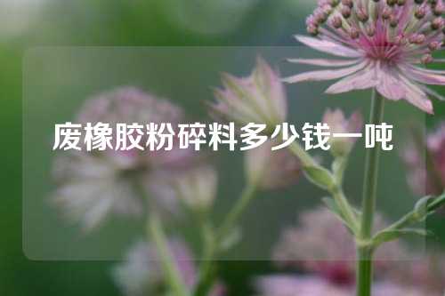 废橡胶粉碎料多少钱一吨