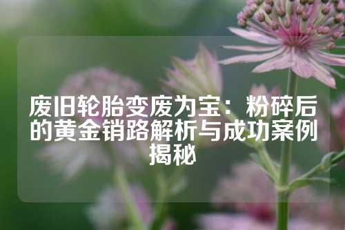 废旧轮胎变废为宝：粉碎后的黄金销路解析与成功案例揭秘