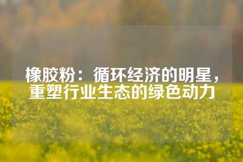 橡胶粉：循环经济的明星，重塑行业生态的绿色动力