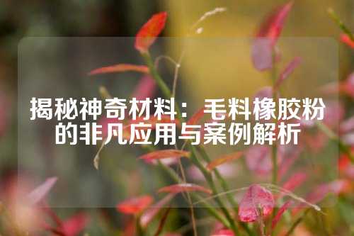揭秘神奇材料：毛料橡胶粉的非凡应用与案例解析