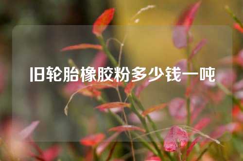 旧轮胎橡胶粉多少钱一吨
