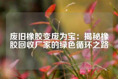 废旧橡胶变废为宝：揭秘橡胶回收厂家的绿色循环之路